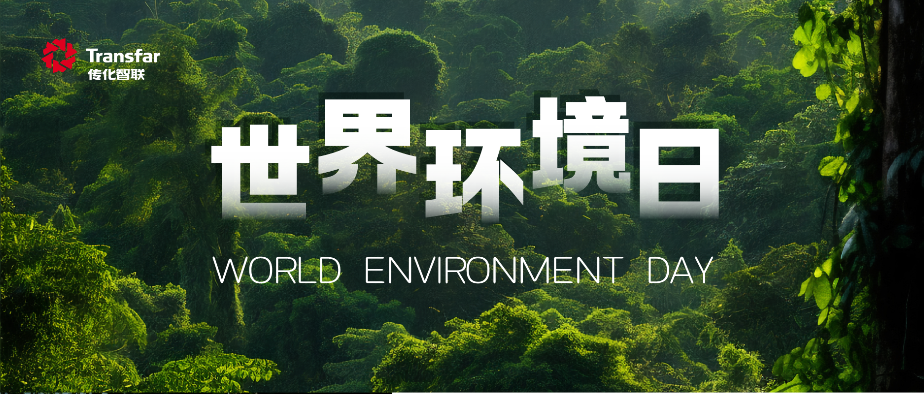 行业首家五星零碳认证！6008集团官方网站大江东基地交出细腻化工“零碳答卷”